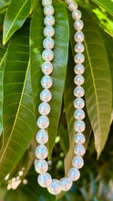 Load image into Gallery viewer, SOUTH SEA PEARL STRAND