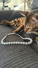 Load image into Gallery viewer, SOUTH SEA PEARL STRAND
