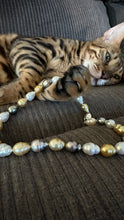Load image into Gallery viewer, SOUTH SEA PEARL STRAND
