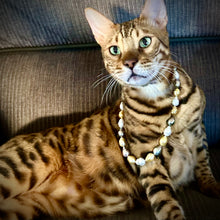 Load image into Gallery viewer, SOUTH SEA PEARL STRAND