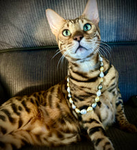 Load image into Gallery viewer, SOUTH SEA PEARL STRAND