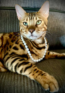 SOUTH SEA PEARL STRAND