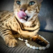 Load image into Gallery viewer, SOUTH SEA PEARL STRAND