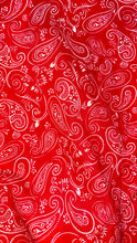 Load image into Gallery viewer, DAHLIA DESIGNS SHIRT 2026/16